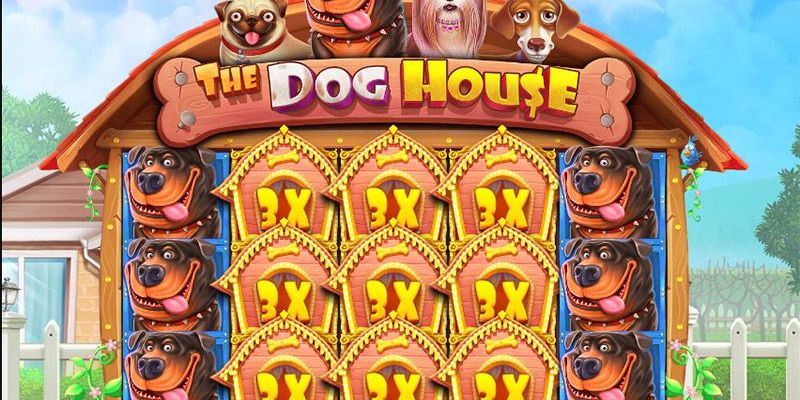 Game chơi The Dog House đem đến trải nghiệm cực hấp dẫn 